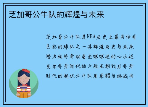 芝加哥公牛队的辉煌与未来