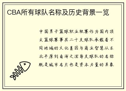 CBA所有球队名称及历史背景一览
